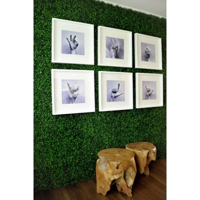 ΠΑΝΕΛ ΦΥΛΛΩΣΙΑΣ BERLIN 50 Χ 50 A146 BOXWOOD NewPlan ΠΑΝΕΛ ΦΥΛΛΩΣΙΑΣ BERLIN 50 Χ 50 A146 BOXWOOD NewPlan