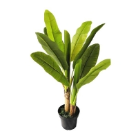 BANANA TREE NP014_120_22 ΥΨΟΣ 120cm NewPlan BANANA TREE NP014_120_22 ΥΨΟΣ 120cm NewPlan