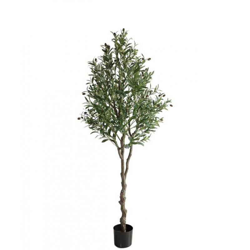 OLIVE TREE NP410_180 ΥΨΟΣ 180cm NewPlan OLIVE TREE NP410_180 ΥΨΟΣ 180cm NewPlan