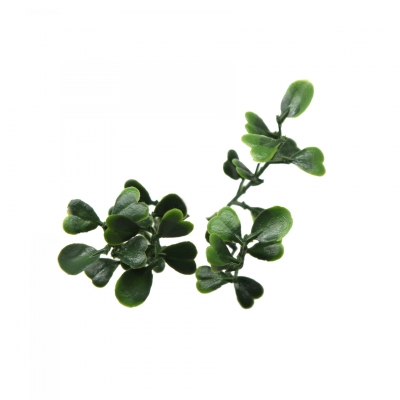 ΠΑΝΕΛ ΦΥΛΛΩΣΙΑΣ BERLIN 50 Χ 50 A199 EUCALYPTUS NewPlan