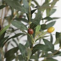 OLIVE TREE NP439_150 ΥΨΟΣ 150cm NewPlan OLIVE TREE NP439_150 ΥΨΟΣ 150cm NewPlan