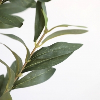 OLIVE TREE NP439_150 ΥΨΟΣ 150cm NewPlan OLIVE TREE NP439_150 ΥΨΟΣ 150cm NewPlan