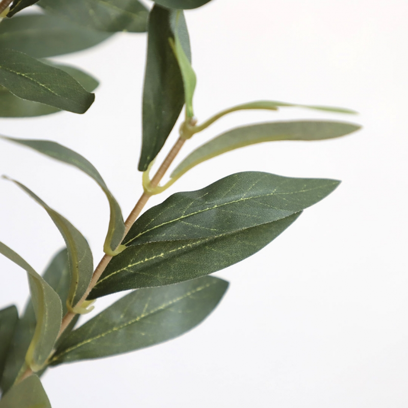 OLIVE TREE NP439_150 ΥΨΟΣ 150cm NewPlan OLIVE TREE NP439_150 ΥΨΟΣ 150cm NewPlan