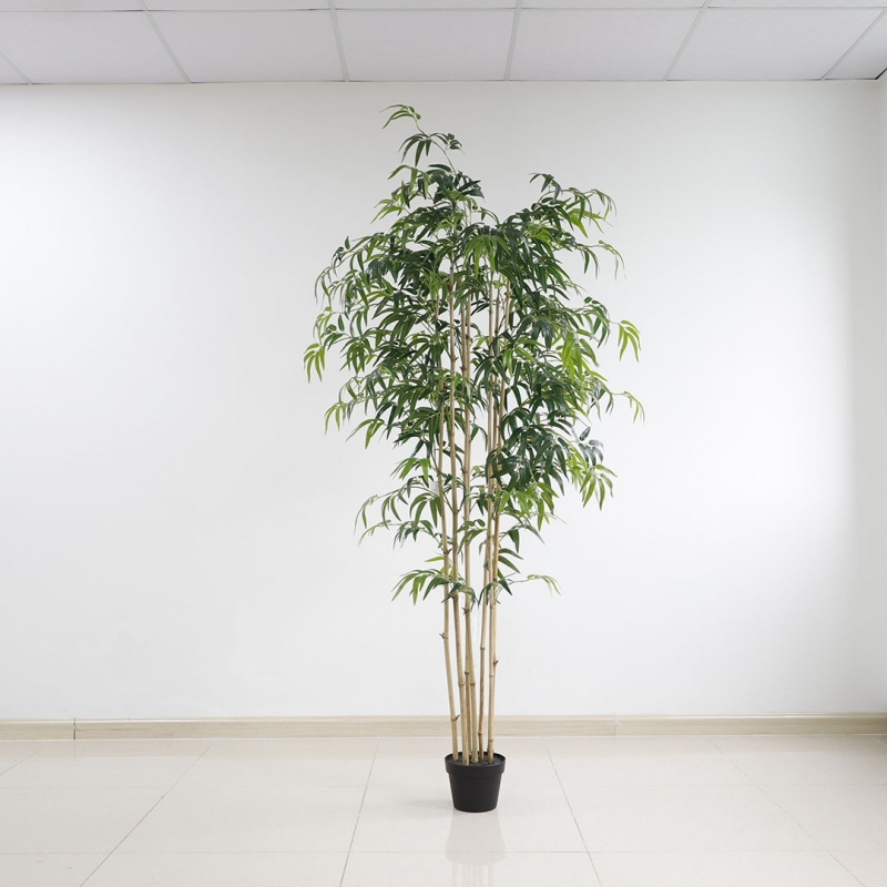 BAMBOO NP0070_210 ΥΨΟΣ 210cm NewPlan BAMBOO NP0070_210 ΥΨΟΣ 210cm NewPlan