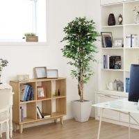 FICUS TREE NP0081_210 ΥΨΟΣ 210cm NewPlan FICUS TREE NP0081_210 ΥΨΟΣ 210cm NewPlan