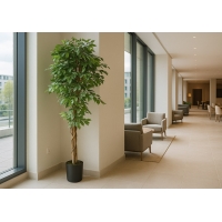 FICUS TREE NP0081_210 ΥΨΟΣ 210cm NewPlan FICUS TREE NP0081_210 ΥΨΟΣ 210cm NewPlan