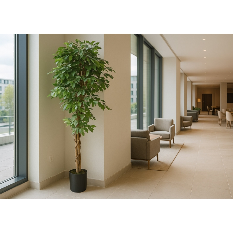 FICUS TREE NP0081_210 ΥΨΟΣ 210cm NewPlan FICUS TREE NP0081_210 ΥΨΟΣ 210cm NewPlan