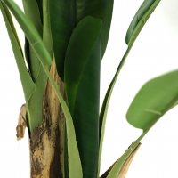 BANANA TREE NP017_240_22 ΥΨΟΣ 240cm NewPlan BANANA TREE NP017_240_22 ΥΨΟΣ 240cm NewPlan