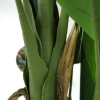 BANANA TREE NP017_240_22 ΥΨΟΣ 240cm NewPlan BANANA TREE NP017_240_22 ΥΨΟΣ 240cm NewPlan
