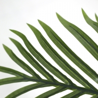 PALM TREE NP0268_170 ΥΨΟΣ 170cm NewPlan PALM TREE NP0268_170 ΥΨΟΣ 170cm NewPlan