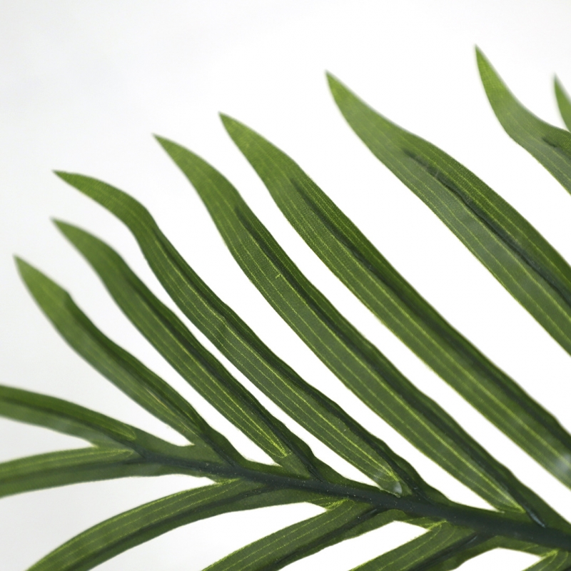 PALM TREE NP0268_170 ΥΨΟΣ 170cm NewPlan PALM TREE NP0268_170 ΥΨΟΣ 170cm NewPlan