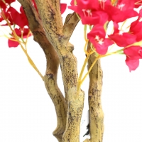 BOUGAINVILLEA NP0421_210 ΥΨΟΣ 210cm NewPlan BOUGAINVILLEA NP0421_210 ΥΨΟΣ 210cm NewPlan