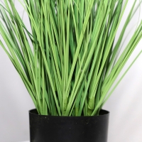 ONION GRASS TREE NP1009_60 ΥΨΟΣ 60cm NewPlan ONION GRASS TREE NP1009_60 ΥΨΟΣ 60cm NewPlan