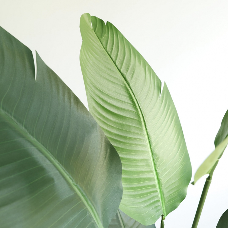BANANA TREE NP1412_180 ΥΨΟΣ 180cm NewPlan BANANA TREE NP1412_180 ΥΨΟΣ 180cm NewPlan