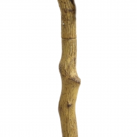 LEMON TREE NP_30_170 ΥΨΟΣ 170cm NewPlan LEMON TREE NP_30_170 ΥΨΟΣ 170cm NewPlan