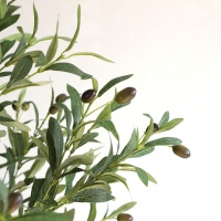 OLIVE TREE NP410_180 ΥΨΟΣ 180cm NewPlan OLIVE TREE NP410_180 ΥΨΟΣ 180cm NewPlan