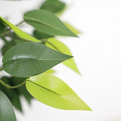 FICUS TREE NP5208_150   ΥΨΟΣ 150cm NewPlan