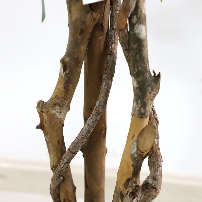 FICUS TREE NP5209_180 ΥΨΟΣ 180cm NewPlan FICUS TREE NP5209_180 ΥΨΟΣ 180cm NewPlan