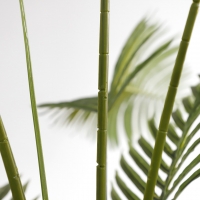 PALM TREE NP5500_240_22 ΥΨΟΣ 240cm NewPlan PALM TREE NP5500_240_22 ΥΨΟΣ 240cm NewPlan