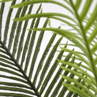 PALM TREE NP5501_210_22 ΥΨΟΣ 210cm NewPlan PALM TREE NP5501_210_22 ΥΨΟΣ 210cm NewPlan