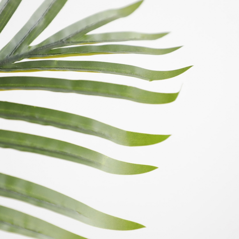 PALM TREE NP5501_210_22 ΥΨΟΣ 210cm NewPlan PALM TREE NP5501_210_22 ΥΨΟΣ 210cm NewPlan