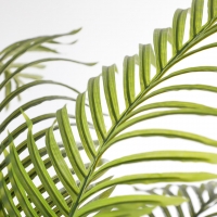 PALM TREE NP5506_180_22 ΥΨΟΣ 180cm NewPlan PALM TREE NP5506_180_22 ΥΨΟΣ 180cm NewPlan