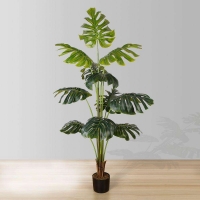 MONSTERA NP6314_155_22 ΥΨΟΣ 155cm NewPlan MONSTERA NP6314_155_22 ΥΨΟΣ 155cm NewPlan
