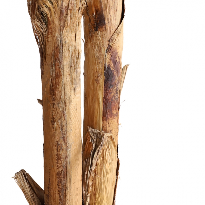 BANANA TREE NP707_240 ΥΨΟΣ 240cm NewPlan BANANA TREE NP707_240 ΥΨΟΣ 240cm NewPlan