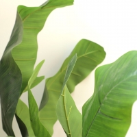 BANANA TREE NP707_240 ΥΨΟΣ 240cm NewPlan BANANA TREE NP707_240 ΥΨΟΣ 240cm NewPlan