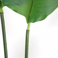 BIRD OF PARADISE NP717_160 ΥΨΟΣ 160cm NewPlan BIRD OF PARADISE NP717_160 ΥΨΟΣ 160cm NewPlan