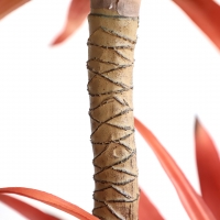 SISAL TREE NP_811_140 ΥΨΟΣ 140cm NewPlan SISAL TREE NP_811_140 ΥΨΟΣ 140cm NewPlan