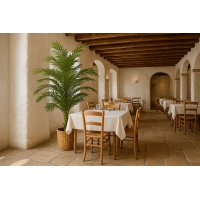 PALM TREE NP9295_160 ΥΨΟΣ 160cm NewPlan PALM TREE NP9295_160 ΥΨΟΣ 160cm NewPlan