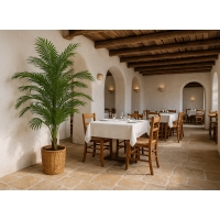 PALM TREE NP9295_160 ΥΨΟΣ 160cm NewPlan PALM TREE NP9295_160 ΥΨΟΣ 160cm NewPlan
