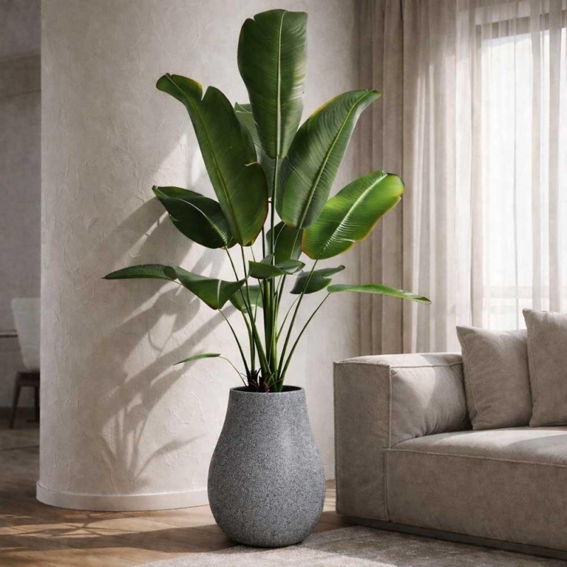 Γλάστρα - κασπώ Evolia γκρι Y50x40x40εκ. Γλάστρα - κασπώ Evolia γκρι Y50x40x40εκ.