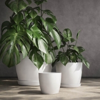 Κασπώ Regula λευκό Y13,2xΦ15,8εκ.