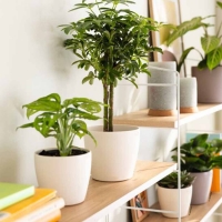 Κασπώ Regula λευκό Y13,2xΦ15,8εκ.