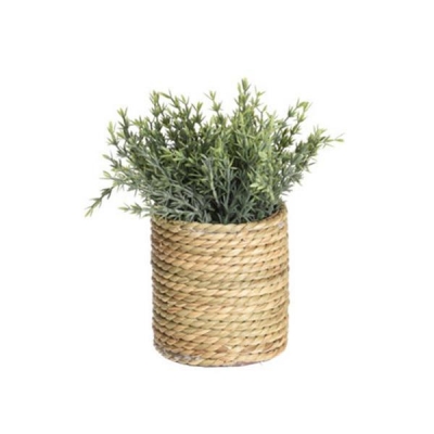 Τεχνητό φυτό ΙΙΙ Ø17xY22εκ.σε γλάστρα Ø11xΥ11,5εκ. Τεχνητό φυτό ΙΙΙ Ø17xY22εκ.σε γλάστρα Ø11xΥ11,5εκ.