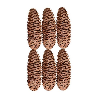 Χριστουγεννιάτικα διακοσμητικά κουκουνάρια 10-11εκ. 6τμχ.