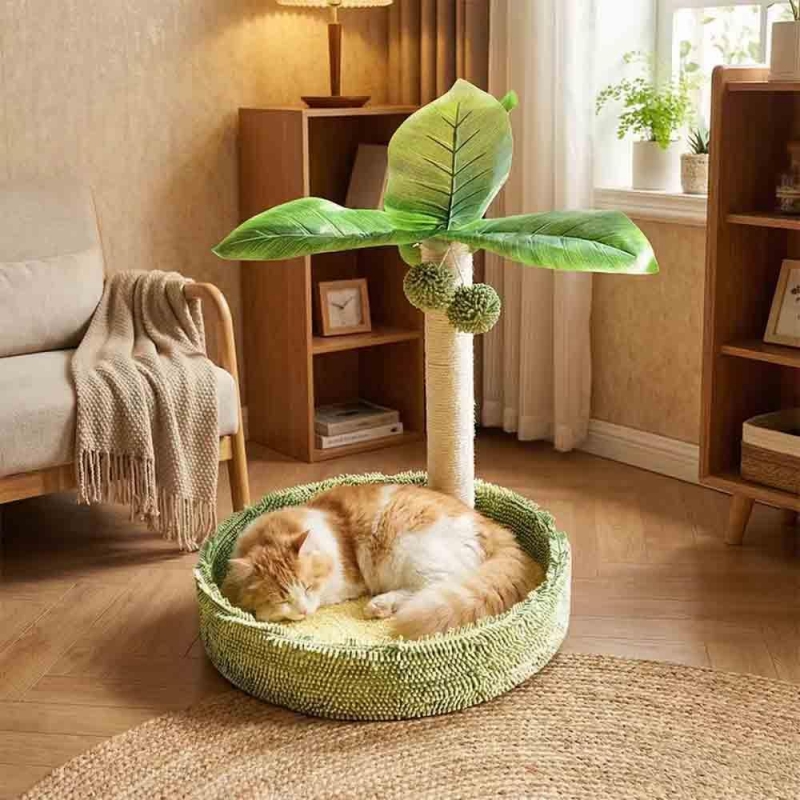 Γατόδεντρο - Ονυχοδρόμιο φοίνικας Υ55×40×40εκ.