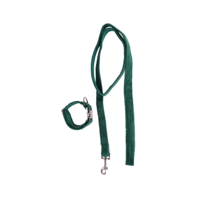 Λουράκι σκύλου με κολλάρο πράσινο medium 31-41x2εκ.