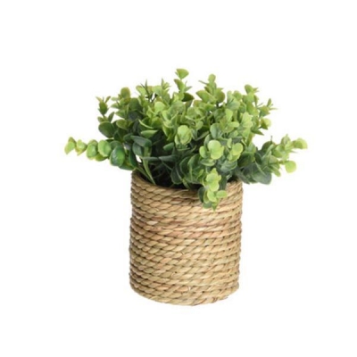 Τεχνητό φυτό ΙΙ Ø17xY22εκ.σε γλάστρα Ø11xΥ11,5εκ. Τεχνητό φυτό ΙΙ Ø17xY22εκ.σε γλάστρα Ø11xΥ11,5εκ.