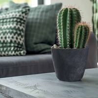 Γλάστρα - κασπώ Beton effect ανθρακί Y14,5xΦ15,8εκ. Γλάστρα - κασπώ Beton effect ανθρακί Y14,5xΦ15,8εκ.