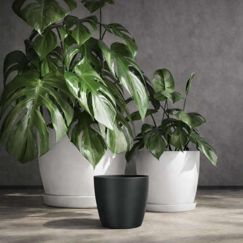 Κασπώ Regula ανθρακί Y13,2xΦ15,8εκ.