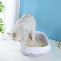 Τουαλέτα γάτας ανοιχτή με φτυαράκι 48×40×14εκ.