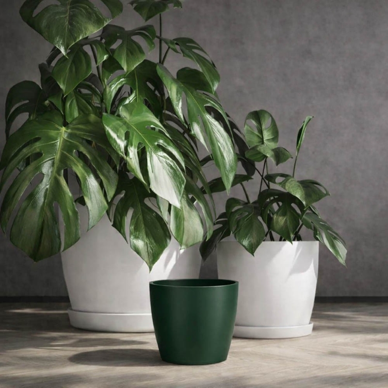 Κασπώ Regula πράσινο Y13,2xΦ15,8εκ.