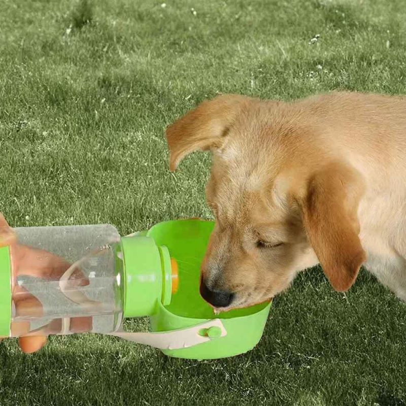 Μπουκάλι ταΐσματος 200ml - νερού 350ml για κατοικίδια πράσινο