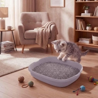 Τουαλέτα γάτας χαμηλή γκρι Υ6×46×38εκ.