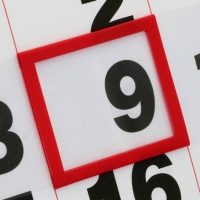 Σετ ημεροδείκτης πλαστικός 30εκ. για ημερολόγια τοίχου (50τεμ)