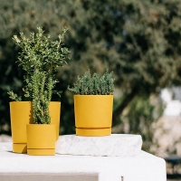 Γλάστρα Tubo μικρή μουσταρδί Y10,9xΦ10,8εκ. Γλάστρα Tubo μικρή μουσταρδί Y10,9xΦ10,8εκ.