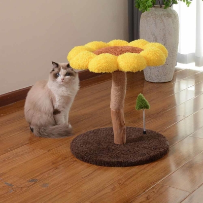 Γατόδεντρο - Ονυχοδρόμιο λουλούδι Υ46×35×35εκ.